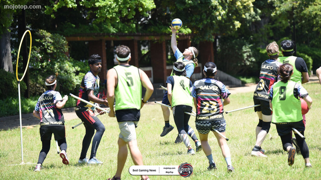 Harry Potter: Quidditch Champions featuring iconic Hogwarts Quidditch pitch