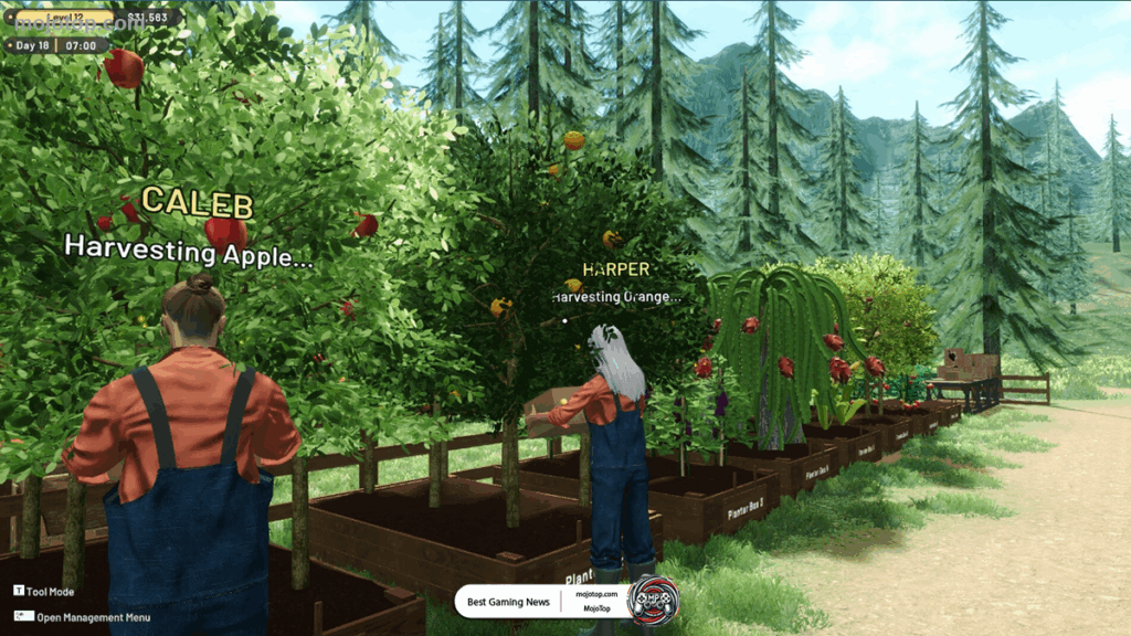 farm market vegetables